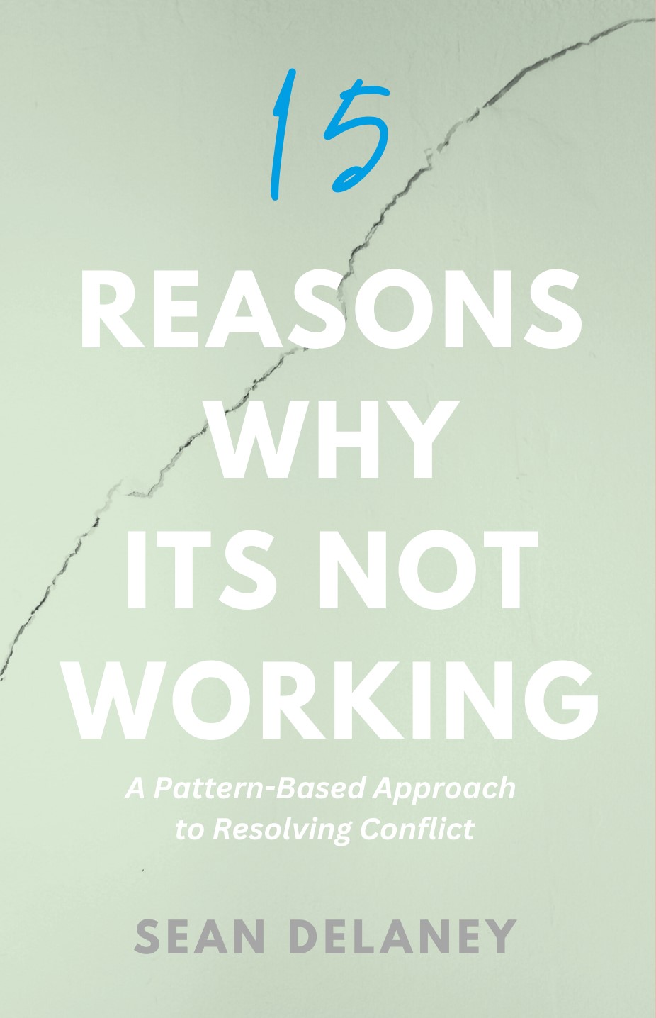 15 REASONS WHY BOOK